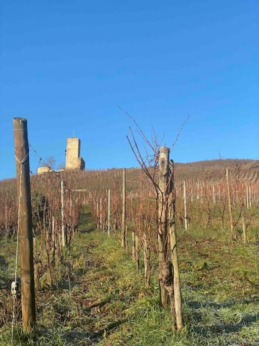 Le Cocon Du «Katzelberg» A 10Mn De Colmar Apartamento Katzenthal Exterior foto