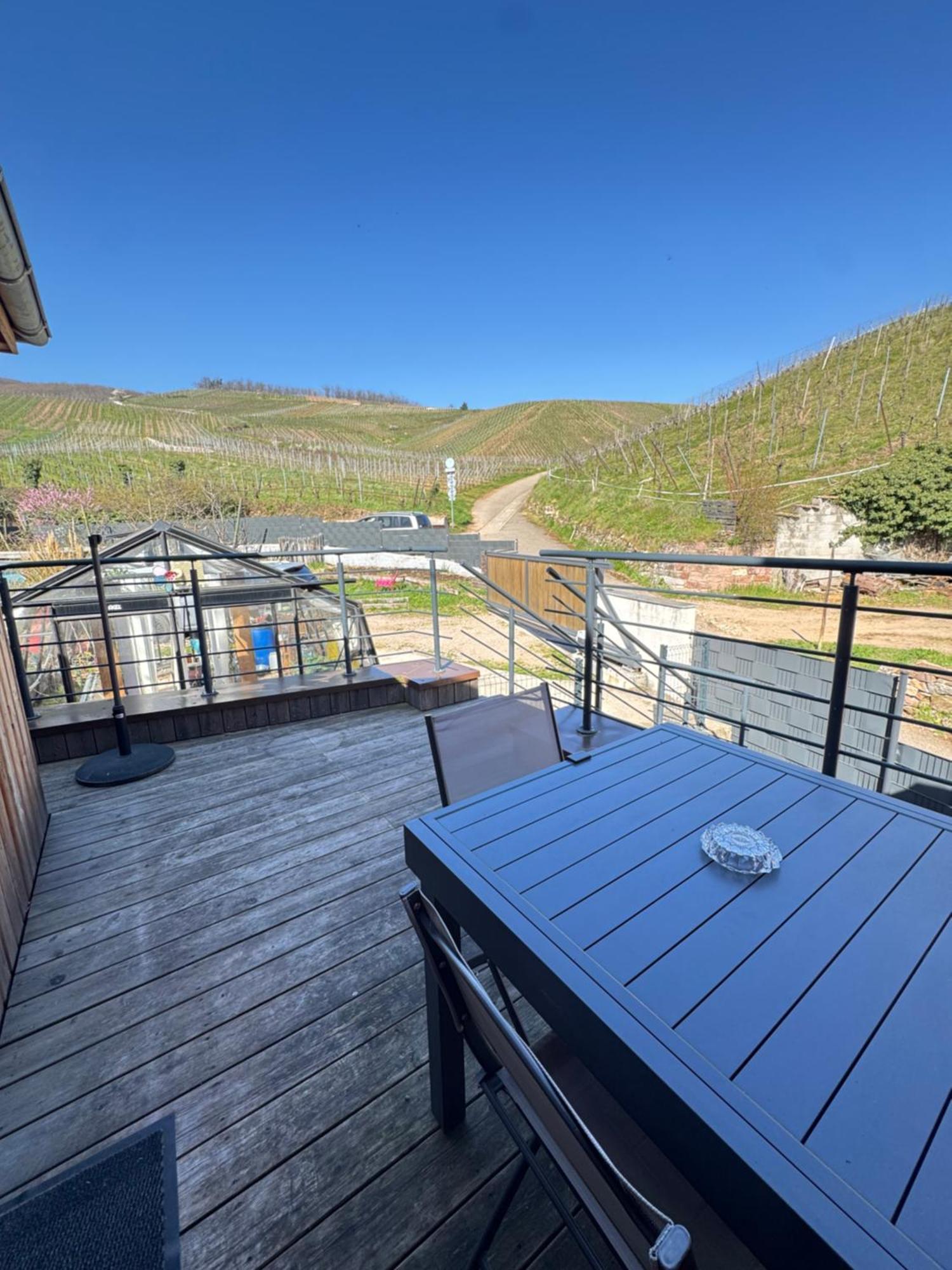 Le Cocon Du «Katzelberg» A 10Mn De Colmar Apartamento Katzenthal Exterior foto